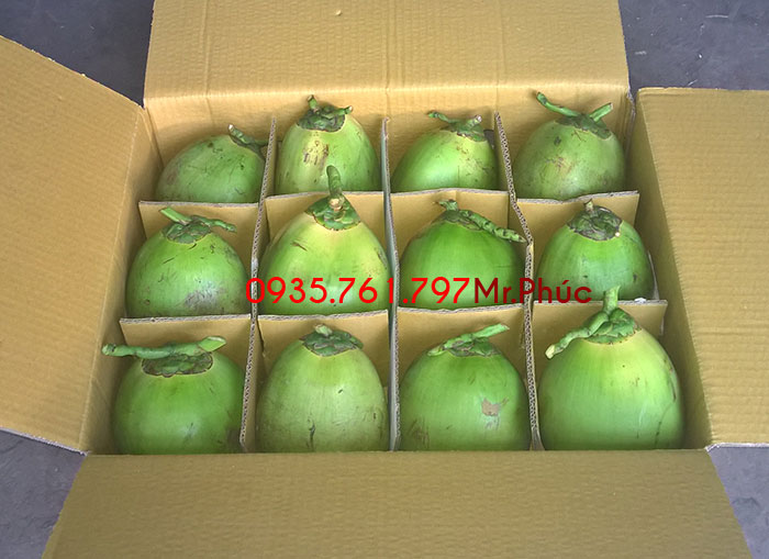 Dừa xiêm xanh đóng thùng 12 trái