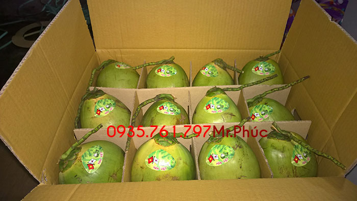 Dừa xiêm xanh nguyên trái dán tem đóng thùng 12 trái xuất khẩu